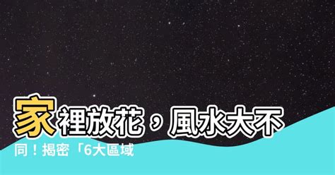 家裡門|【家裡門】揭密居家私密空間！打造舒適安全的家裡門，一次掌握。